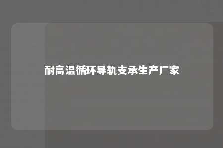 耐高温循环导轨支承生产厂家 