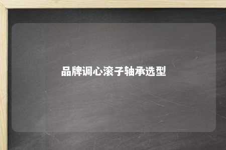 品牌调心滚子轴承选型 